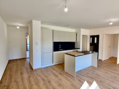 APPARTEMENT DE RENDEMENT NEUF ! REZ-DE-JARDIN 2.5 PCS, 78 M2 - SION  image 5