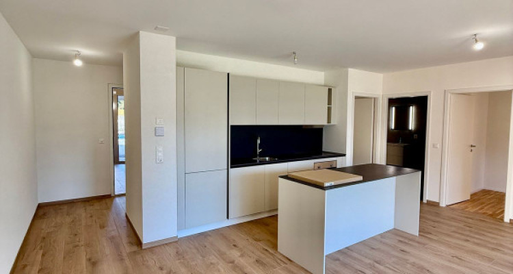 APPARTEMENT DE RENDEMENT NEUF ! REZ-DE-JARDIN 2.5 PCS, 78 M2 - SION  image 5