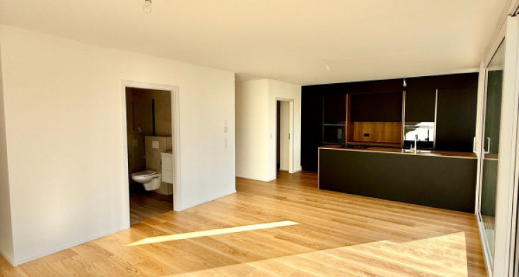 ATTIQUE NEUF DE 3.5 PCES, 112 M2 + TERRASSE PRIVÉE - SION  image 5