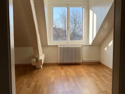 PERLE RARE : Attique de 5,5 pièces aux Eaux-Vives ✨ image 4