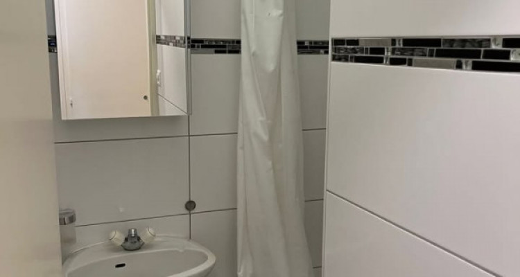 🏠 Spacieux 4 pièces meublé (81 m²) aux Pâquis ! image 7