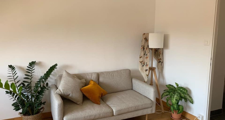 🏠 Superbe 3 pièces meublé aux Pâquis – Vue Salève ! image 9