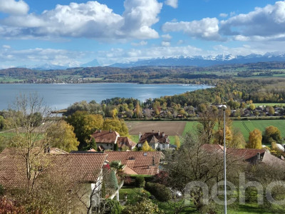 Grande parcelle avec une vue sur le lac pour un projet de construction image 3
