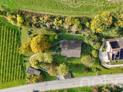 Grande parcelle avec une vue sur le lac pour un projet de construction image 4