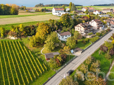 Grande parcelle avec une vue sur le lac pour un projet de construction image 5