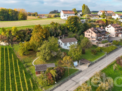 Grande parcelle avec une vue sur le lac pour un projet de construction image 7