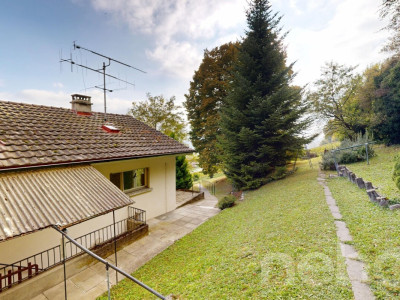 Grande parcelle avec une vue sur le lac pour un projet de construction image 10