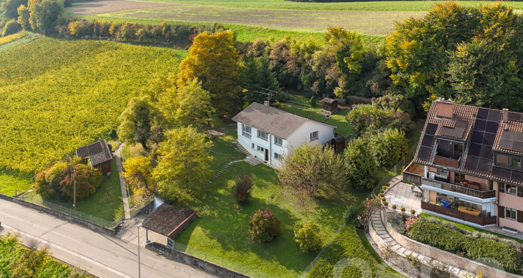 Grande parcelle avec une vue sur le lac pour un projet de construction image 1
