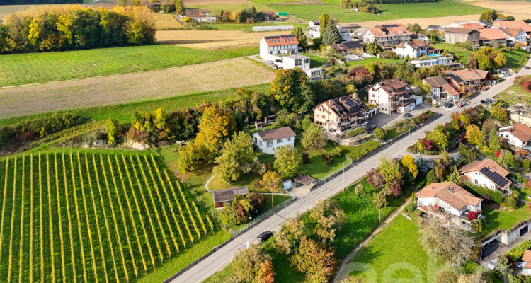 Grande parcelle avec une vue sur le lac pour un projet de construction image 2