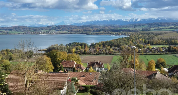Grande parcelle avec une vue sur le lac pour un projet de construction image 3