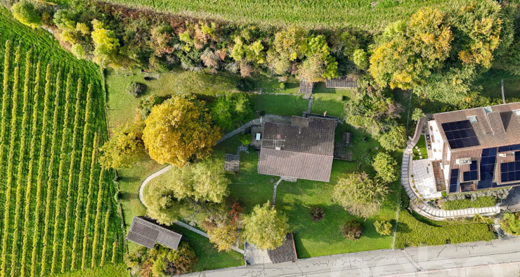 Grande parcelle avec une vue sur le lac pour un projet de construction image 4