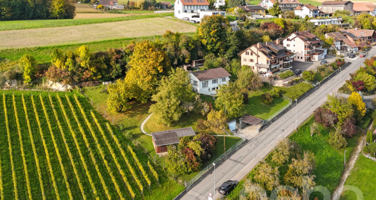 Grande parcelle avec une vue sur le lac pour un projet de construction image 5