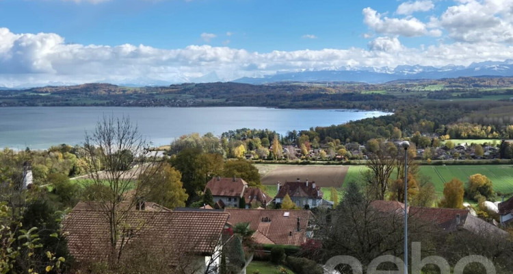 Grande parcelle avec une vue sur le lac pour un projet de construction image 11