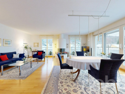 Sonniges Attika-Juwel: Direkter Liftzugang, Cheminée & Panoramasicht image 1