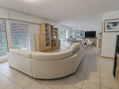 Grande villa individuelle en viager occupé sans rente limité à 7 ans image 3