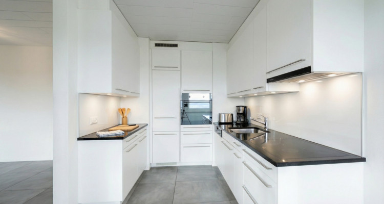 4.5-Room Penthouse Apartment – Stunning Lake View image 3