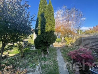 Charmantes Reihenmittelhaus mit Garten in Truttikon ZH image 3