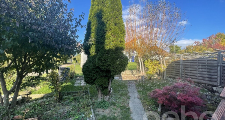 Charmantes Reihenmittelhaus mit Garten in Truttikon ZH image 3