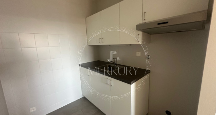 Un charmant 3P dans le quartier de Châtelaine / Vernier  image 2