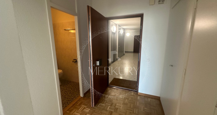 Un charmant 3P dans le quartier de Châtelaine / Vernier  image 1