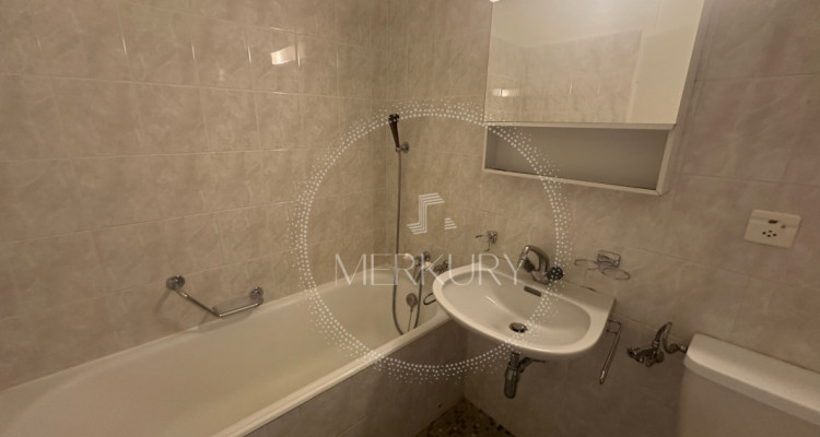 Un charmant 3P dans le quartier de Châtelaine / Vernier  image 5