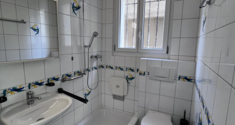 Charmant appartement ensoleillé en rez-de-jardin avec vue sur les Alpes. image 8