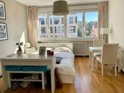 Appartement de une 2 pièces à Plainpalais meublé image 1