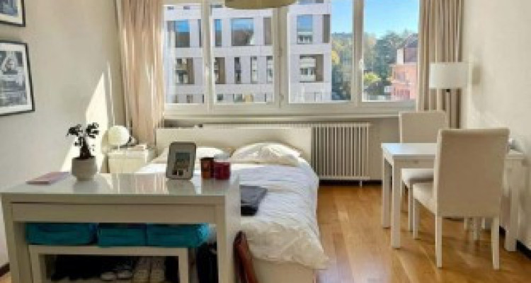 Appartement de une 2 pièces à Plainpalais meublé image 1