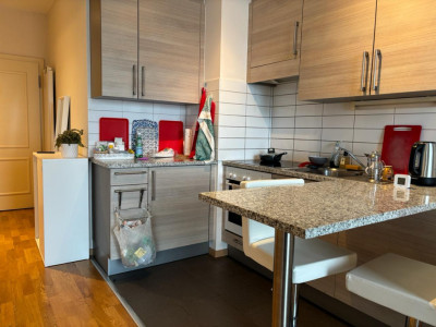 Magnifique 2 pièces proche des Organisations Internationales image 2