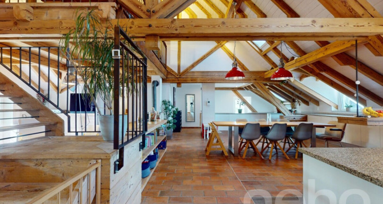 Un loft sous les toits! duplex mansardé au charme incomparable image 1