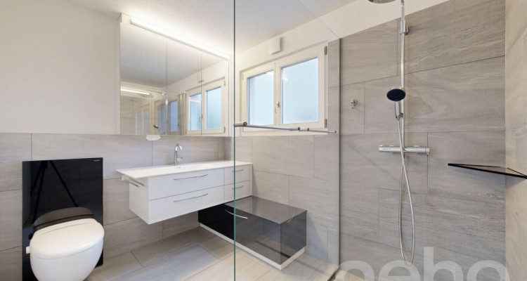 Grosszügiges 5.5-Zimmerhaus mit Licht, Raum und PV-Anlage image 9