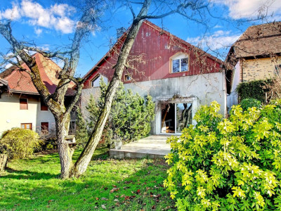 Maison familiale, spacieuse et lumineuse, grand jardin arboré image 12