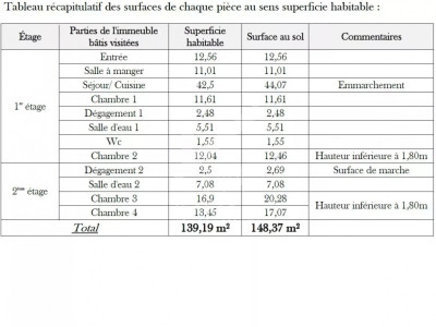 Maison familiale, spacieuse et lumineuse, grand jardin arboré image 13