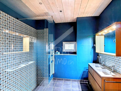 Maison familiale, spacieuse et lumineuse, grand jardin arboré image 9