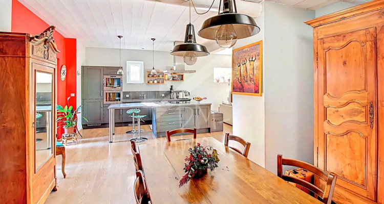 Maison familiale, spacieuse et lumineuse, grand jardin arboré image 3