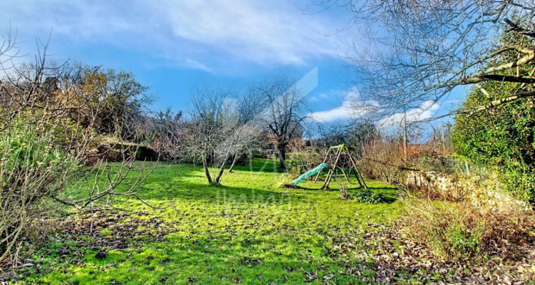 Maison familiale, spacieuse et lumineuse, grand jardin arboré image 5