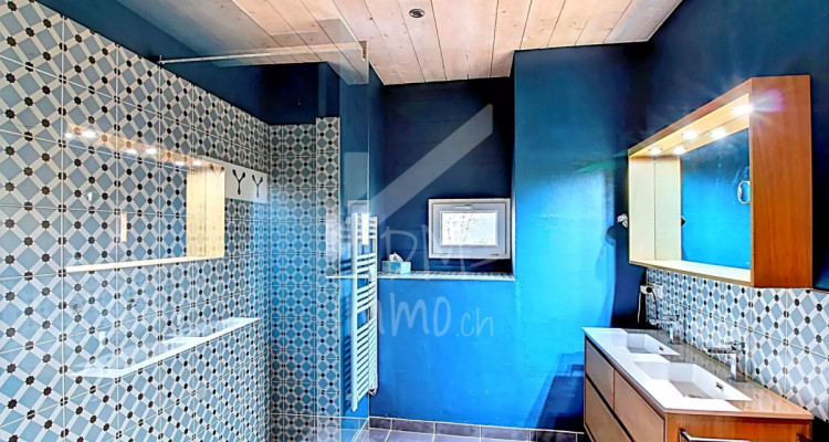 Maison familiale, spacieuse et lumineuse, grand jardin arboré image 10