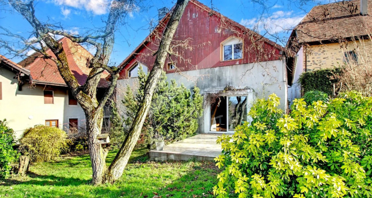 Maison familiale, spacieuse et lumineuse, grand jardin arboré image 12