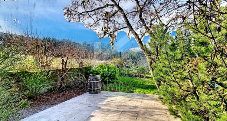 Maison familiale, spacieuse et lumineuse, grand jardin arboré image 4