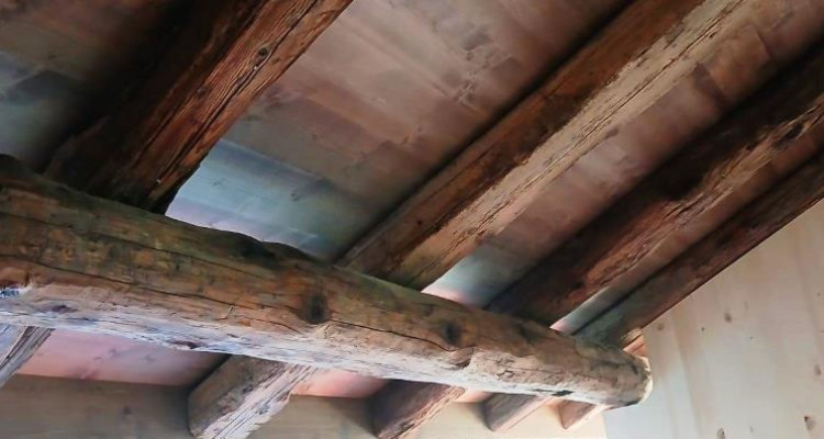 MAISON VILLAGEOISE ÉCOLOGIQUE, JARDIN, CAVE, PARKING, EN COURS DE CONSTRUCTION image 4