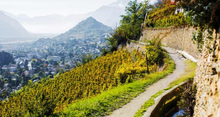 MAISON VILLAGEOISE ÉCOLOGIQUE, JARDIN, CAVE, PARKING, EN COURS DE CONSTRUCTION image 8