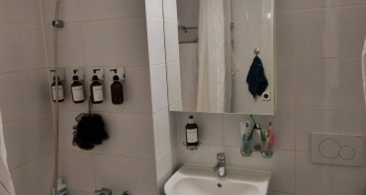 Appartement de 3 pièces au 2ème étage situé à Petit-Lancy 1213 image 8