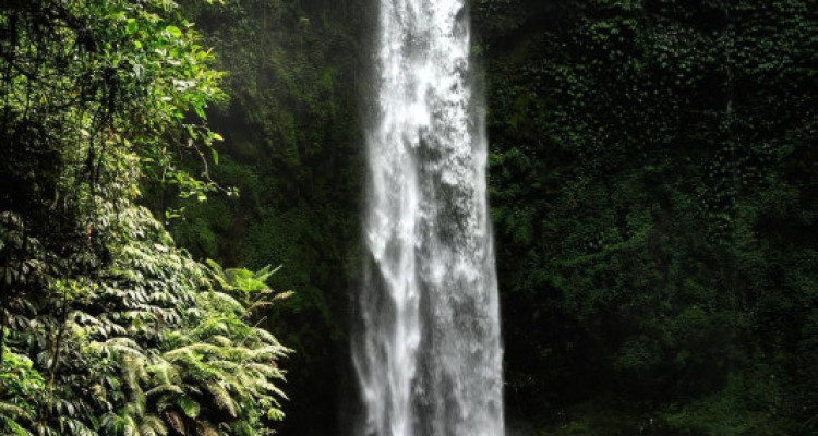 Ubud, Bali – 2-Bedroom Villa with Private Pool image 12