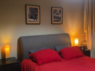 Un Loft située à Plainpalais meublé image 6