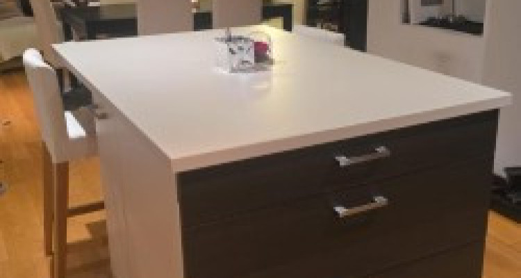 Un Loft située à Plainpalais meublé image 2