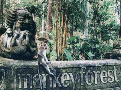 Ubud, Bali – 3-Bedroom Villa with Private Pool image 12