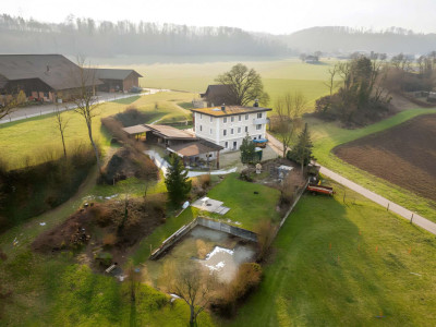 Greenfield 4 Mensch und Tier image 1