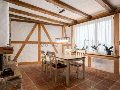 Greenfield 4 Mensch und Tier image 10