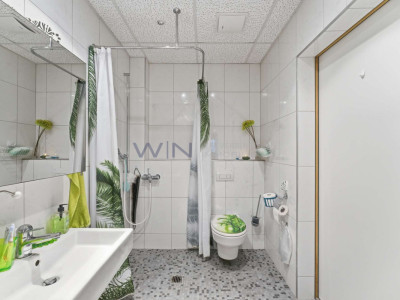 Greenfield 4 Mensch und Tier image 11