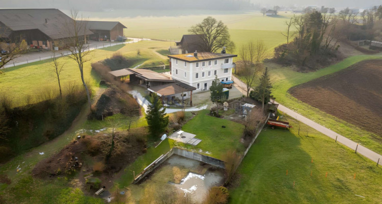 Greenfield 4 Mensch und Tier image 1